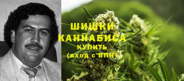 стаф Белокуриха