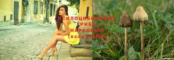 спиды Беломорск