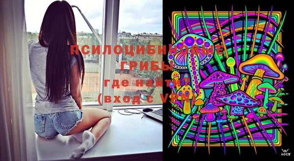 стаф Белокуриха