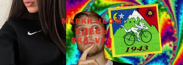 стаф Белокуриха