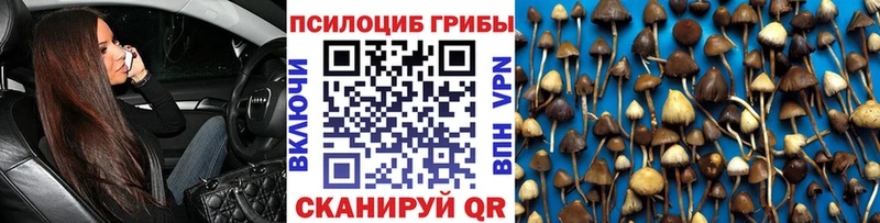 Псилоцибиновые грибы прущие грибы  Горячий Ключ 